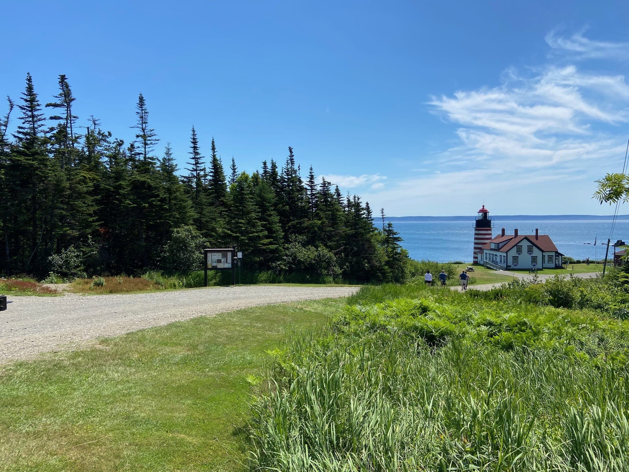 Quoddy Head State Park near Lubec